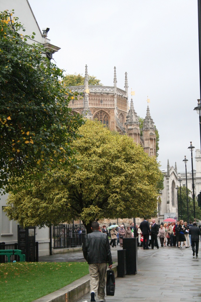 Abbaye de Westminster derrière les arbres
